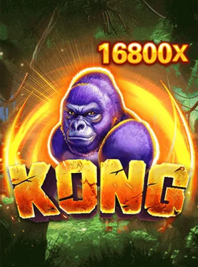 888qq